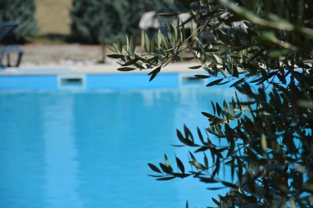 Nova Vas  Apartments Agata מראה חיצוני תמונה
