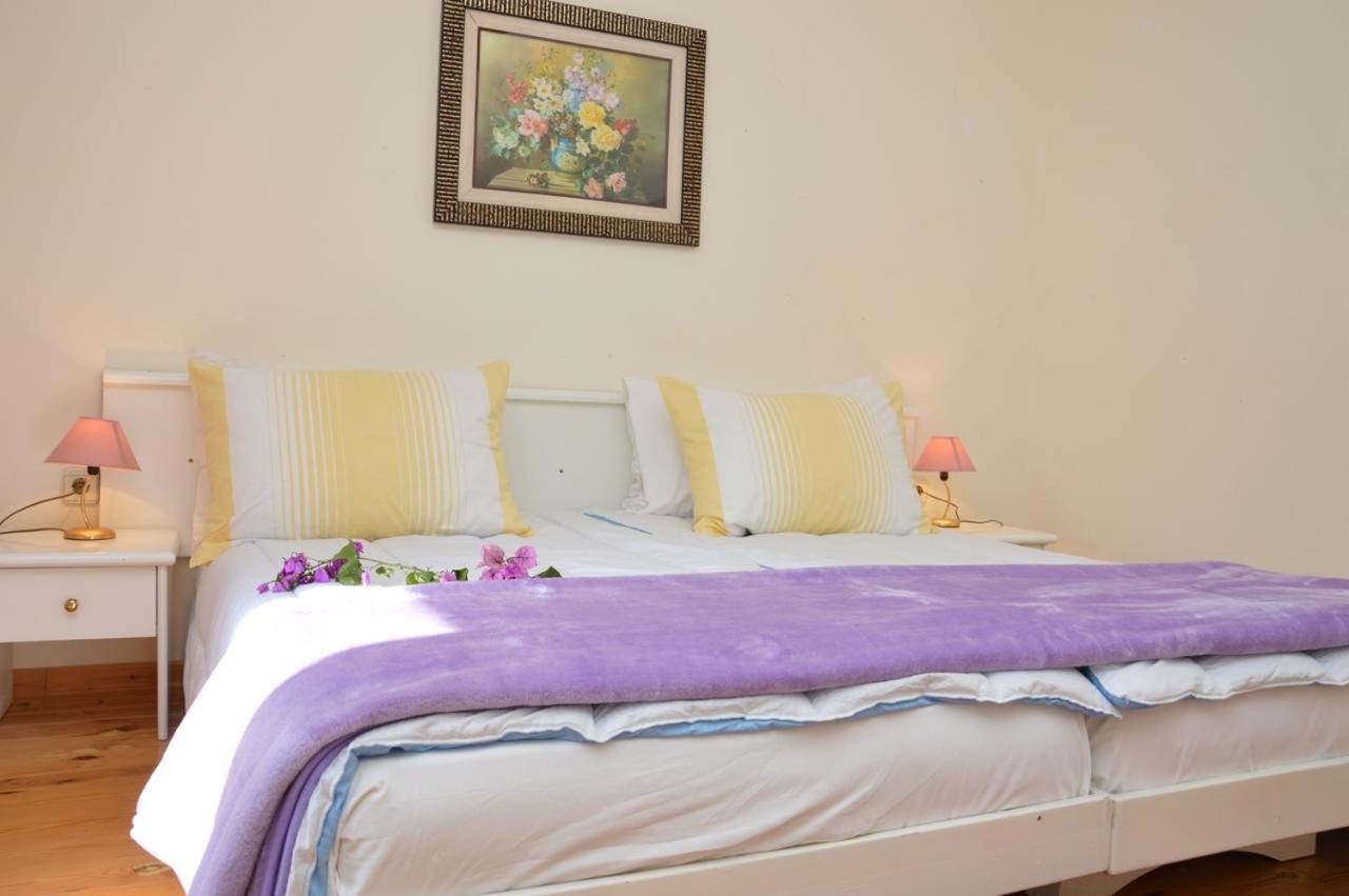 Nova Vas  Apartments Agata מראה חיצוני תמונה