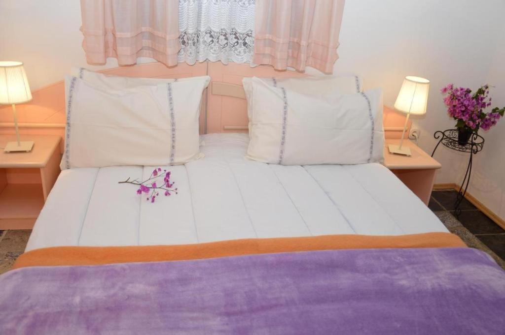 Nova Vas  Apartments Agata מראה חיצוני תמונה